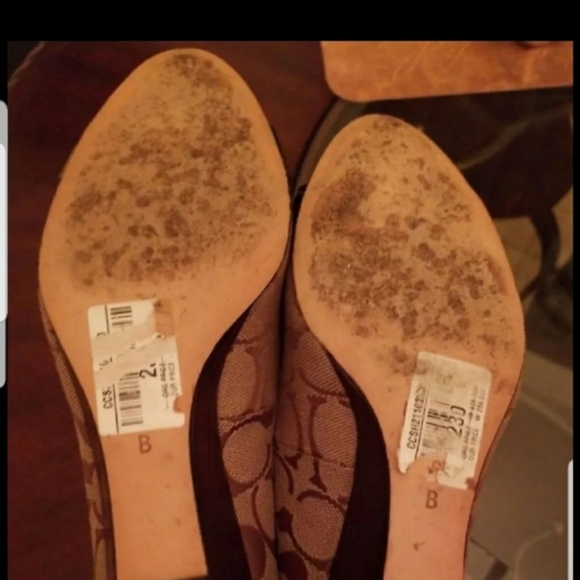 Coach Meryl Pointed Cap Toe Wedge - Picture 8 of 8